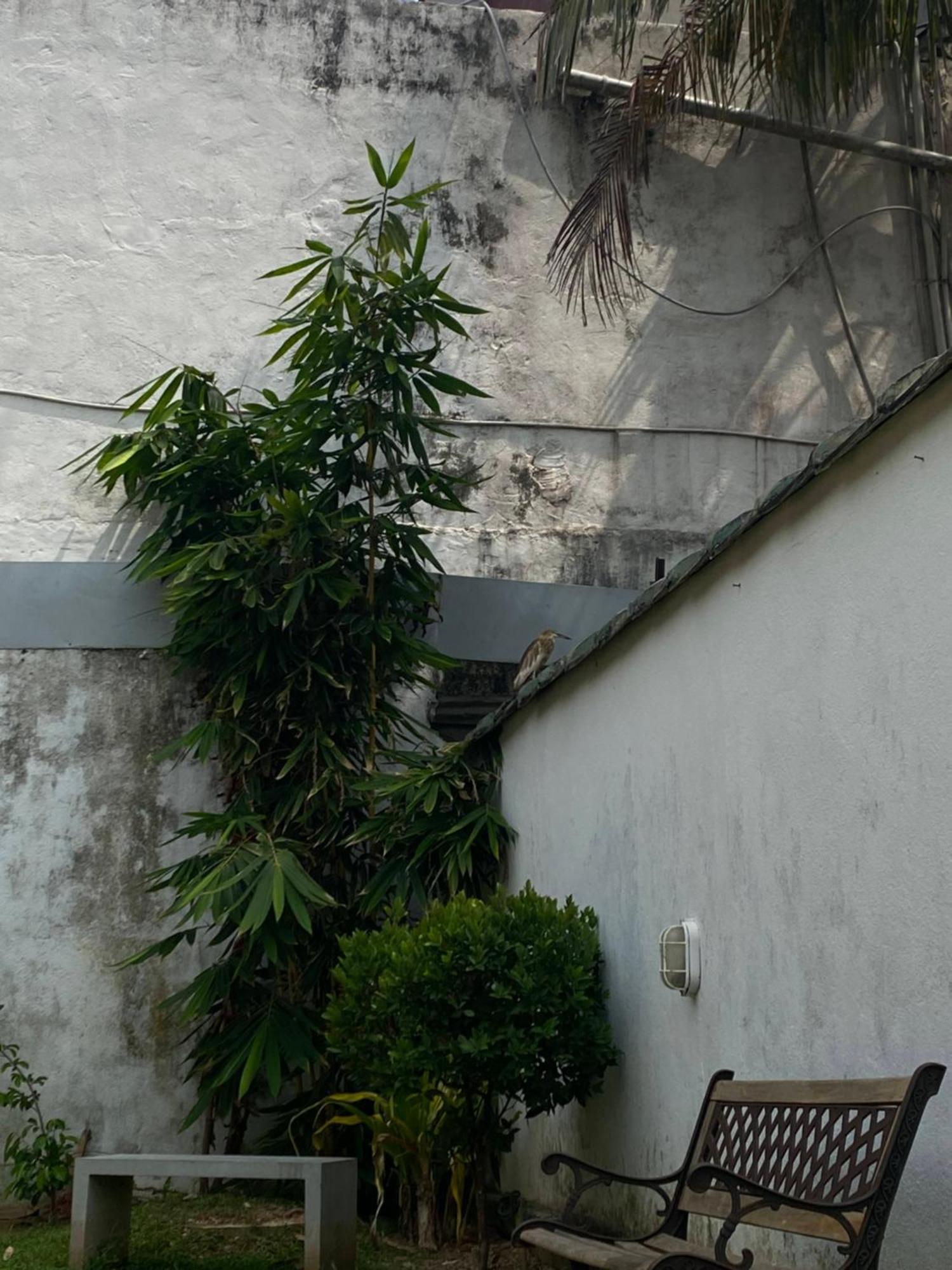 Sky Hostel Negombo Luaran gambar
